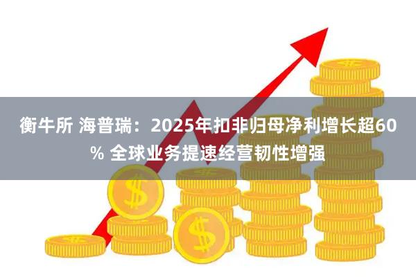 衡牛所 海普瑞：2025年扣非归母净利增长超60% 全球业务提速经营韧性增强