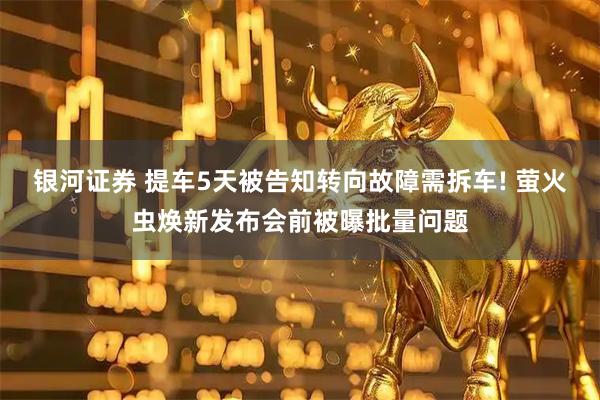 银河证券 提车5天被告知转向故障需拆车! 萤火虫焕新发布会前被曝批量问题