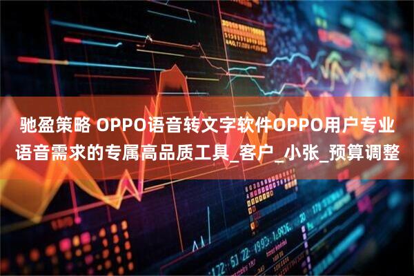 驰盈策略 OPPO语音转文字软件OPPO用户专业语音需求的专属高品质工具_客户_小张_预算调整